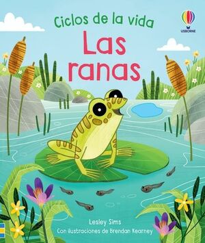 LAS RANAS CICLOS DE LA VIDA