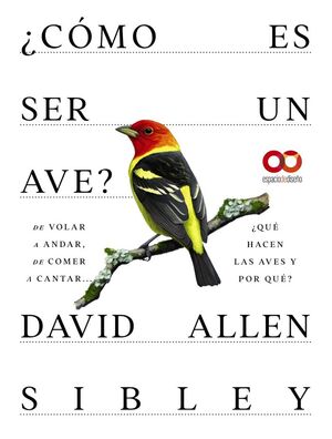 ¿CÓMO ES SER UN AVE? DE VOLAR A ANIDAR, DE COMER A CANTAR... ¿QUÉ HACEN LAS AVES